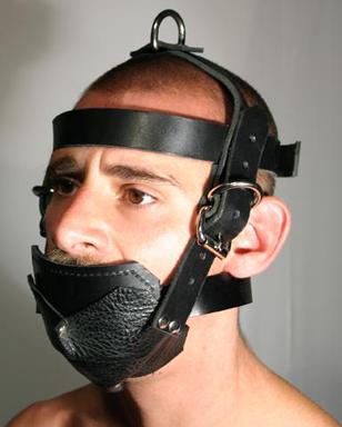 Lock jaw head harness
