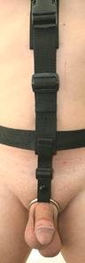 Full Body Webbing Harness Restraint cock ring assembly